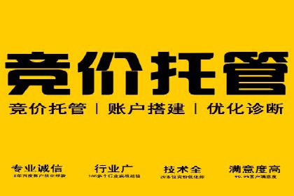 搜索开户返点揭秘：成功案例分享